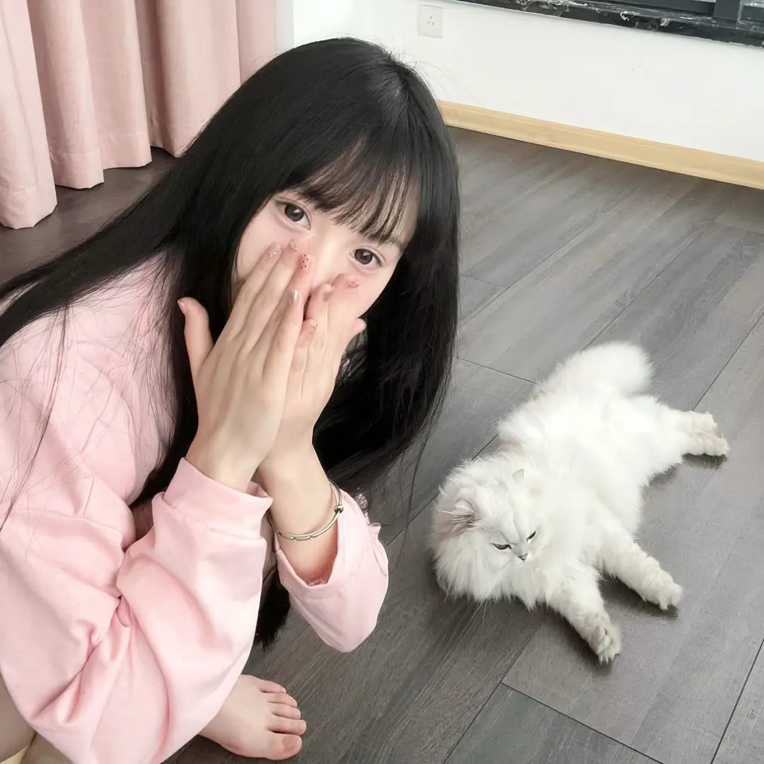无声的证言第二十六季
